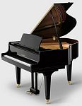 Kawai GL-20 M/PEP ���������� �����